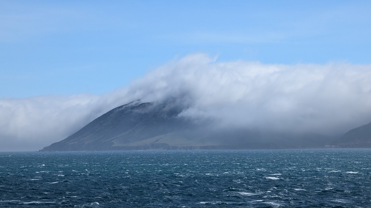 Wellington