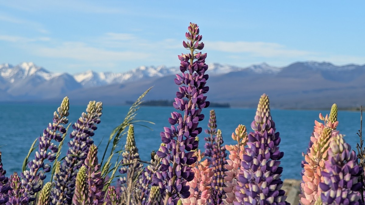 On to Tekapo