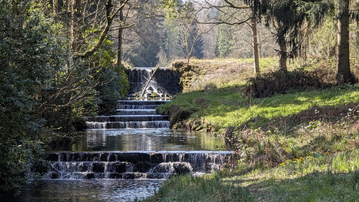 Harewood