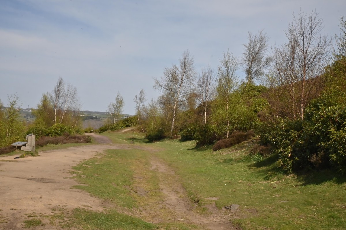 Halifax
