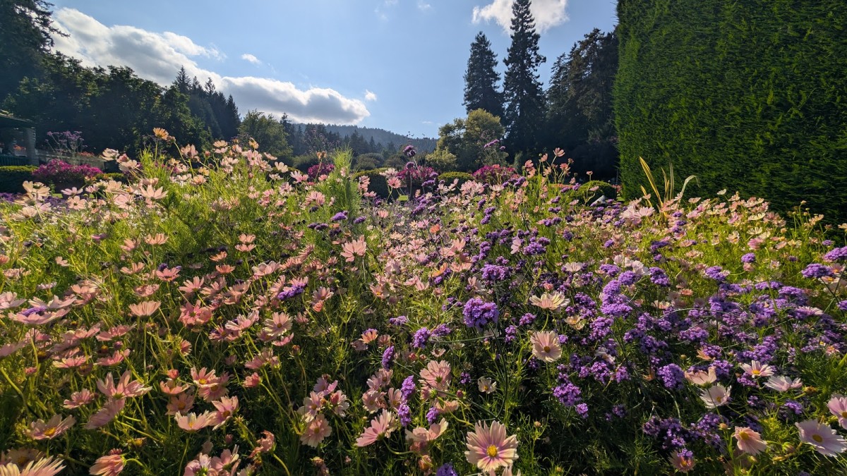 Butchart Gardens and Victoria