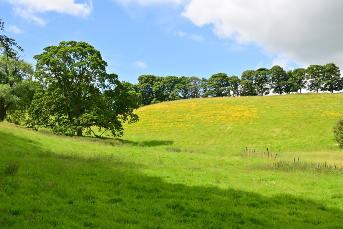 Bramhope